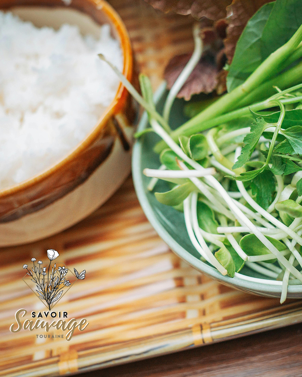 riz-plantes-pexels-Photo de FOX ^.ᆽ.^= ∫